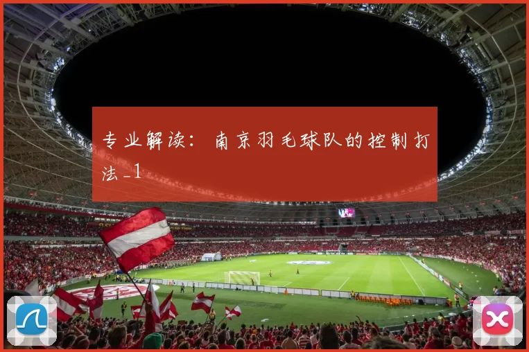 专业解读：南京羽毛球队的控制打法_1