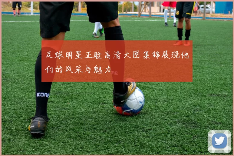 足球明星正脸高清大图集锦展现他们的风采与魅力