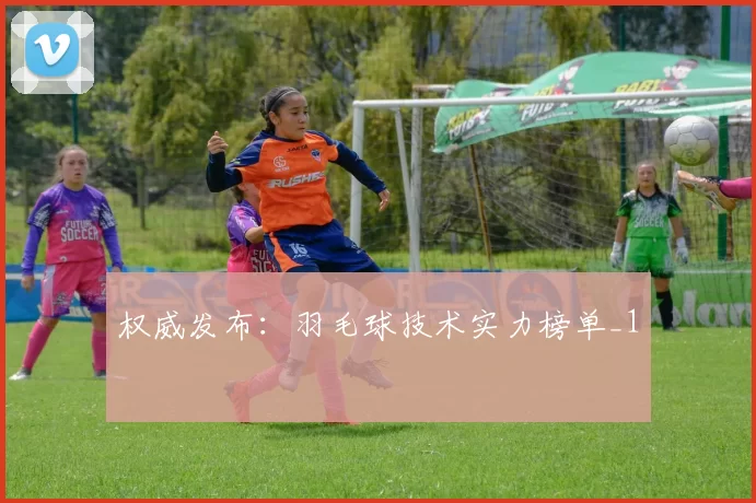权威发布：羽毛球技术实力榜单_1
