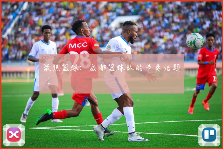 聚焦篮球：成都篮球队的节奏话题_1