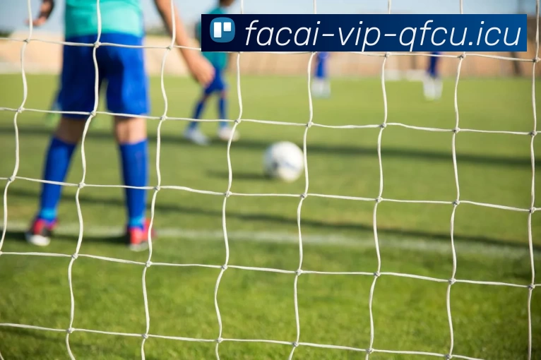 九游体育平台生态图